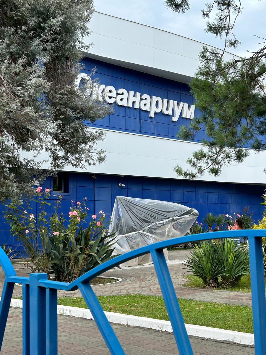 Фото автора