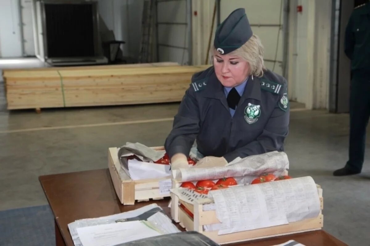    В Красноярске уничтожили 20 тонн опасных томатов из Узбекистана