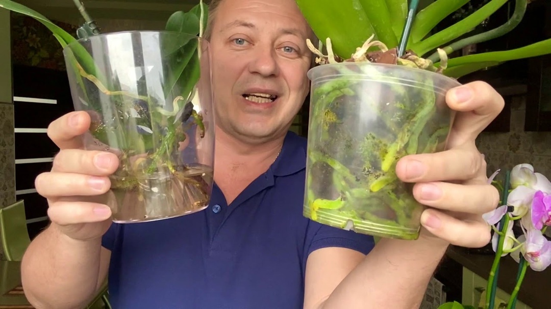 Создать карусель