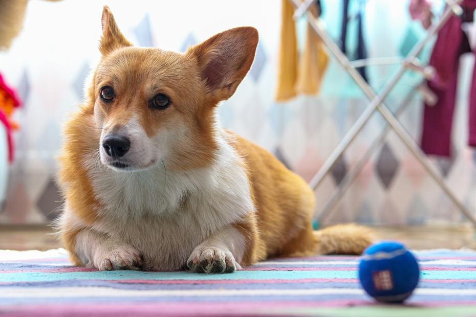    Сергей Булкин/NEWS.ru