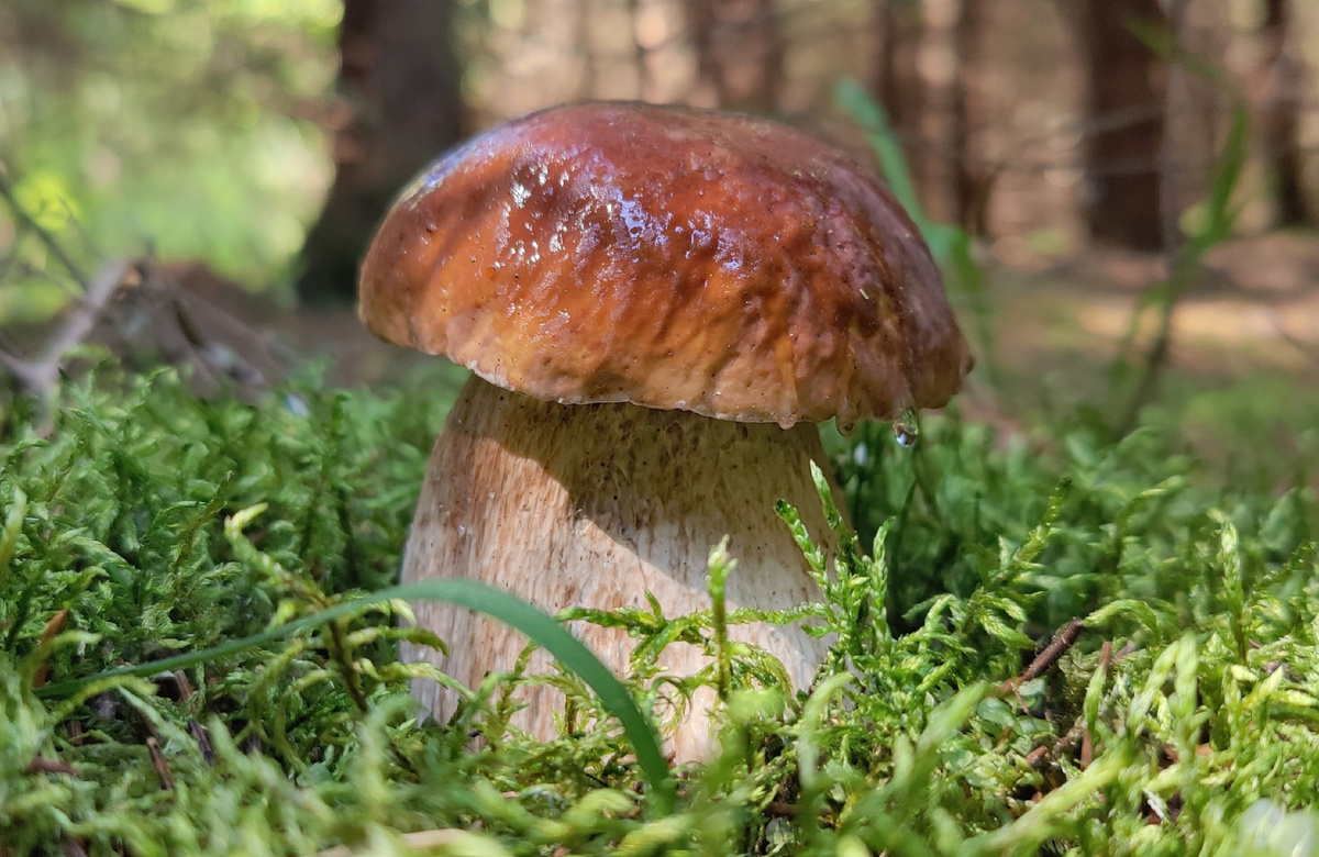 Размерчик, в сравнении с прошлой неделей, уже приличный.