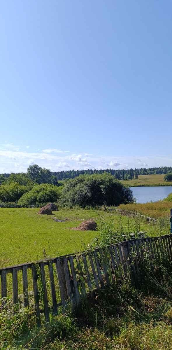 Бескрайние деревенские просторы ✨