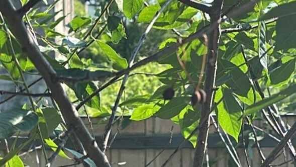     Источник: vostokmedia.com