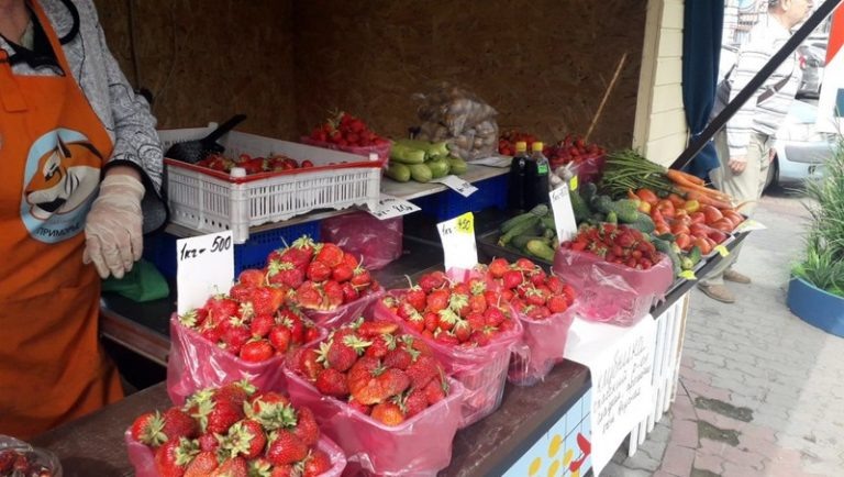    Фото Павла Лопатко Ксения Евдокимова