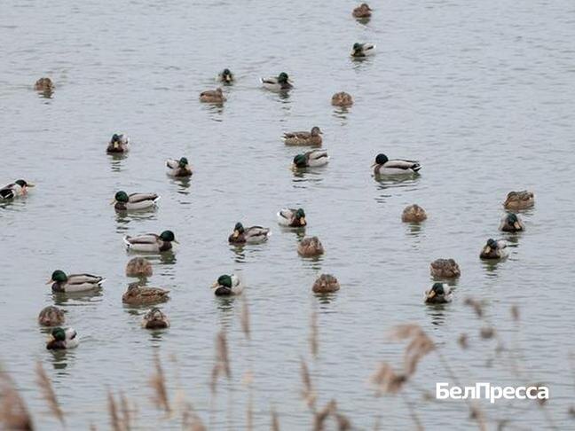 Фото: Андрей Закоморный