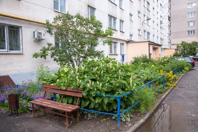 Фото: НатальяЛарина