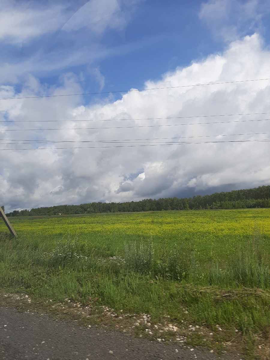 Где-то по пути