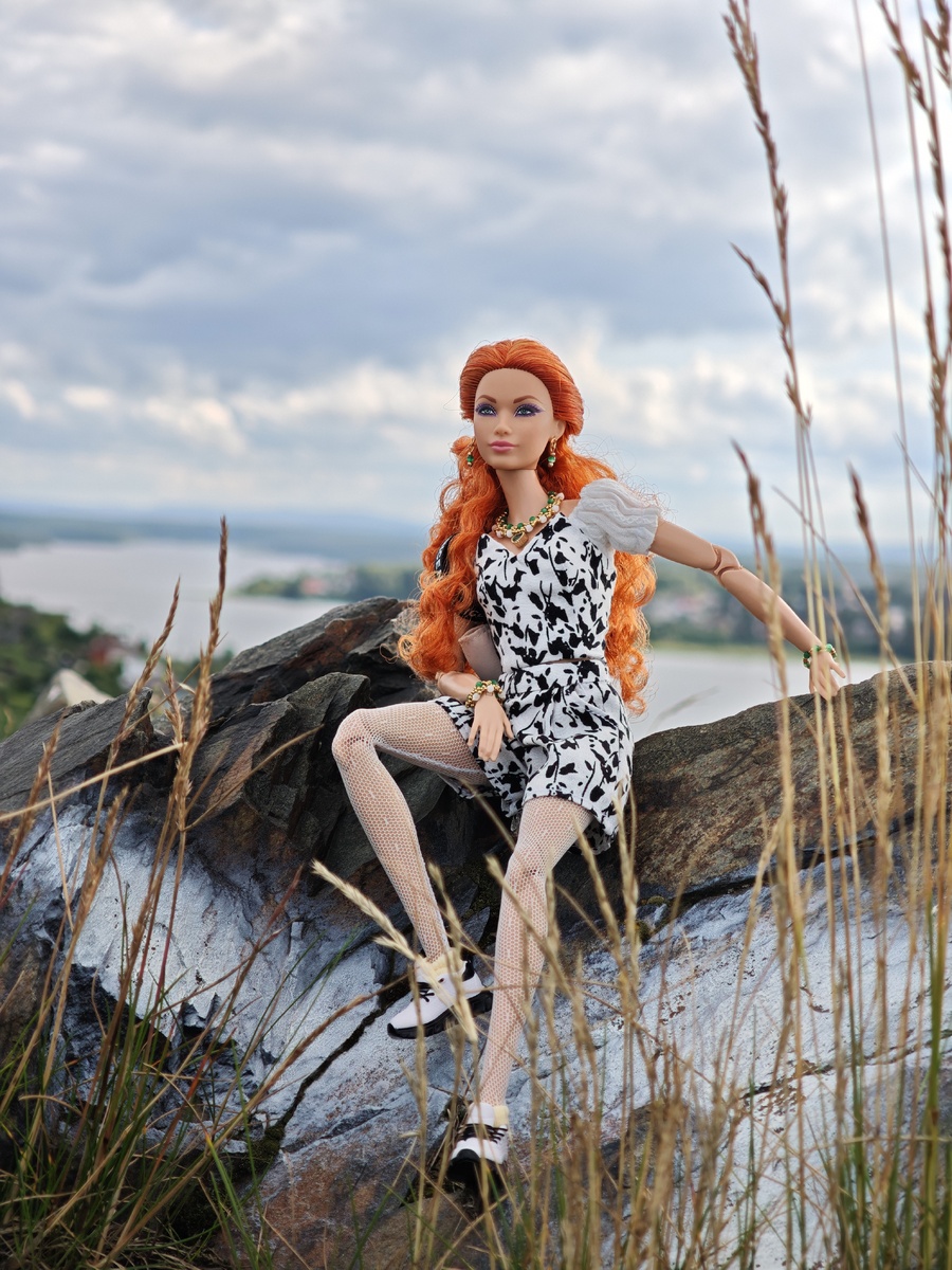 Barbie Looks Хайди