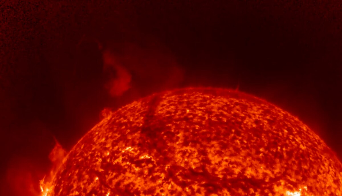 Фото: XRAS.ru  📷
