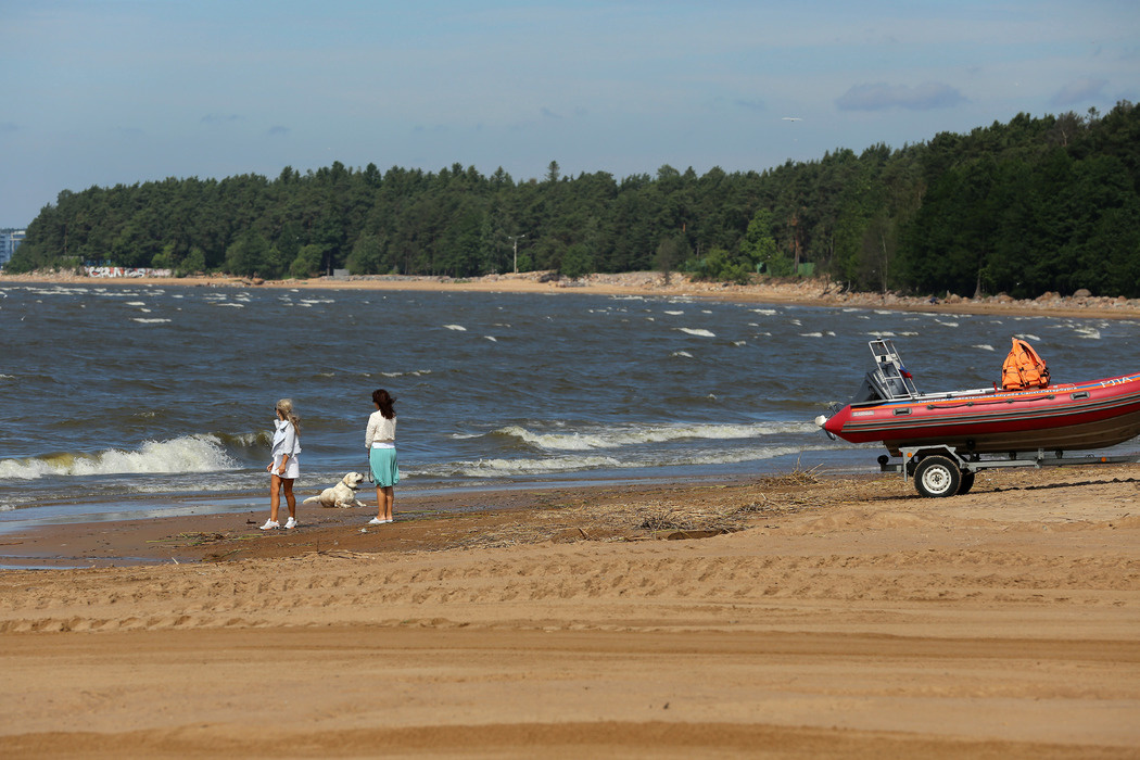    Фото: Baltphoto / Андрей_Пронин