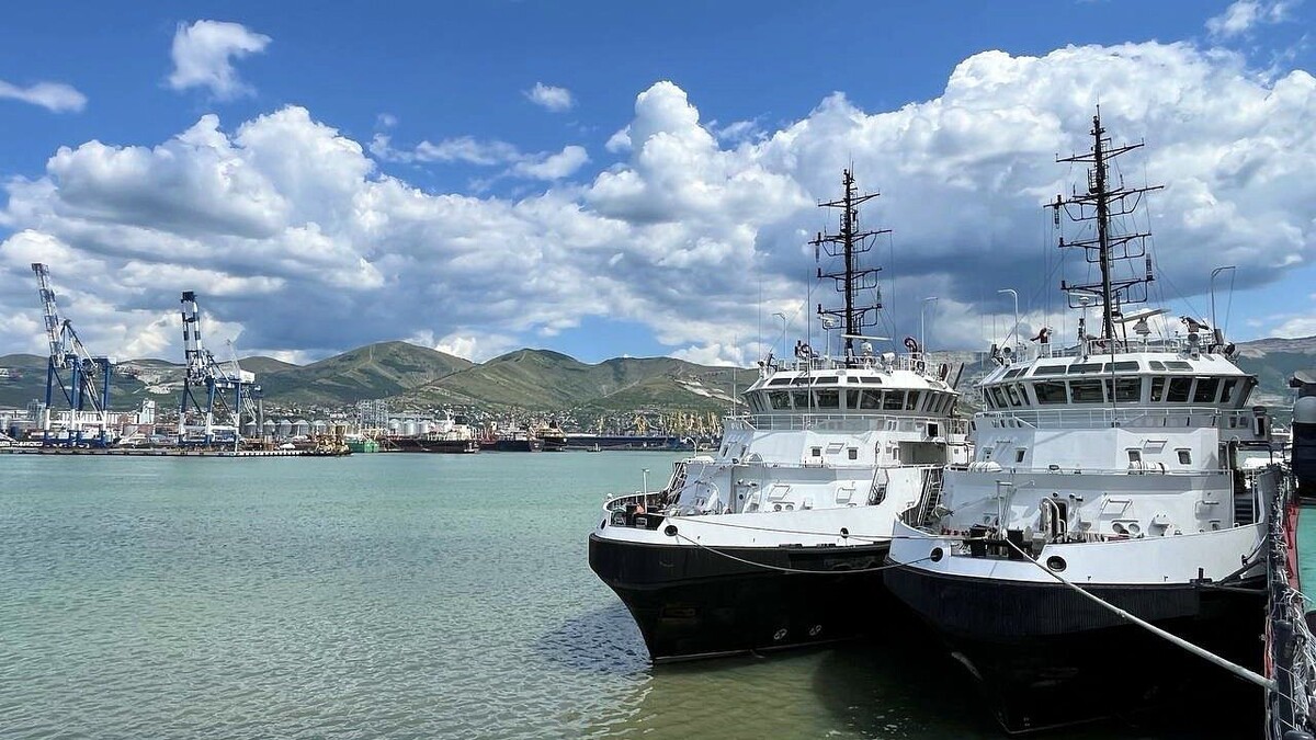    Фото: телеканал «Краснодар»