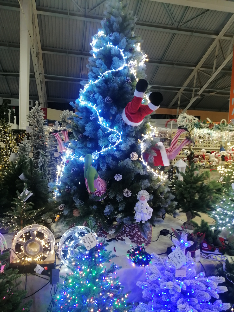 Личное фото. 