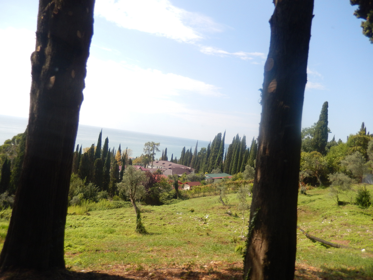 фото из архива автора ВИД НА МОРЕ