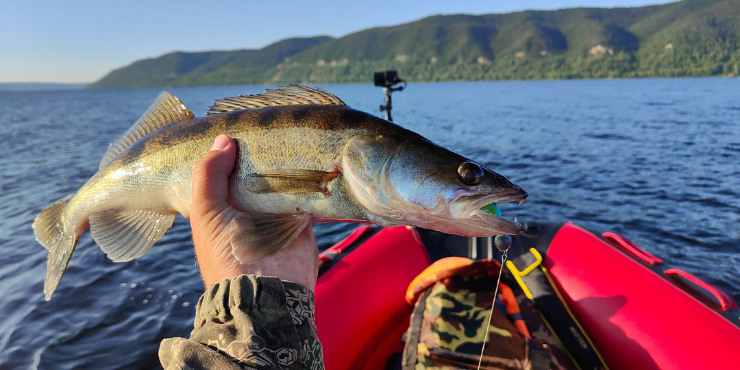 Судак на последнем издыхании: когда мотор подвел в самый неподходящий момент
