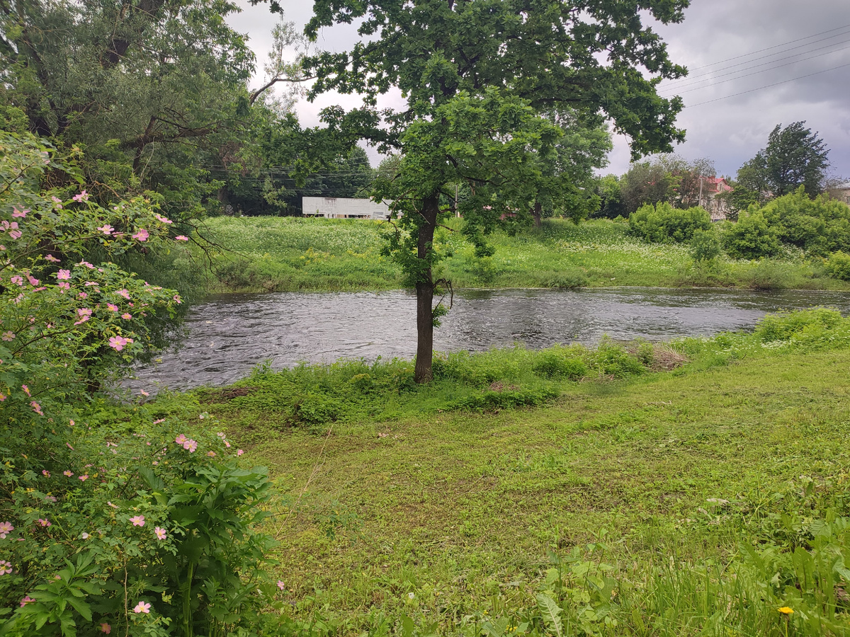 Река Шелонь. Берег у Порховской крепости. 