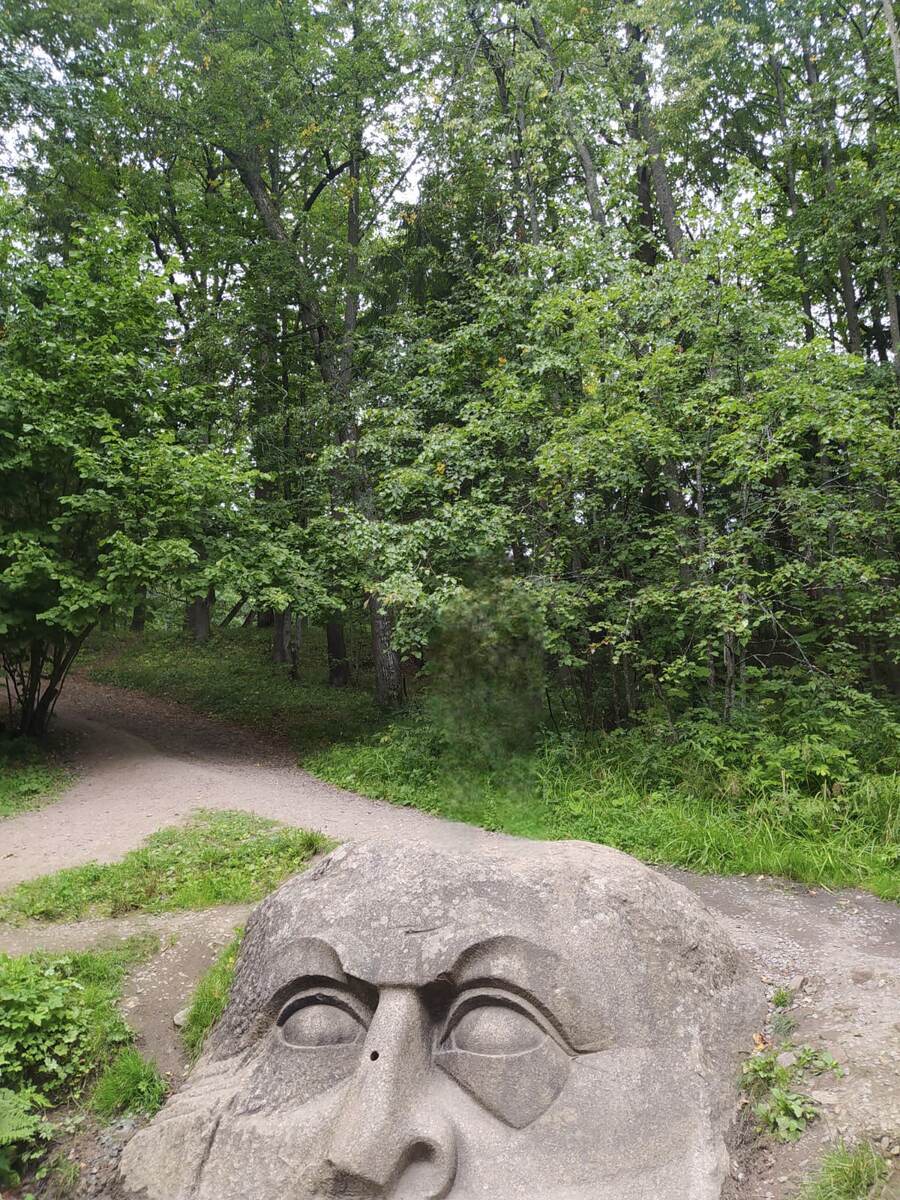 Камень-голова в Сергиевке