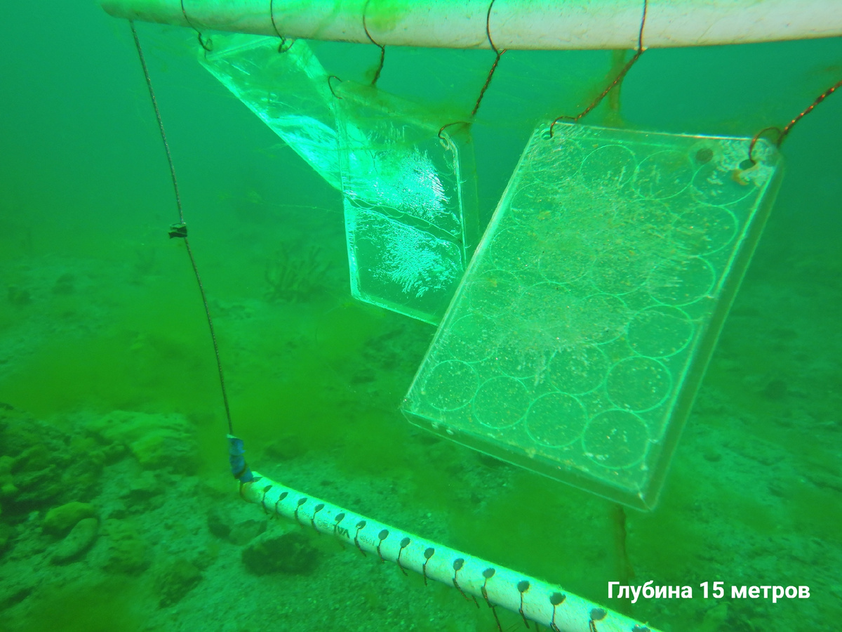 © Фото: vk.com/baikal_museum