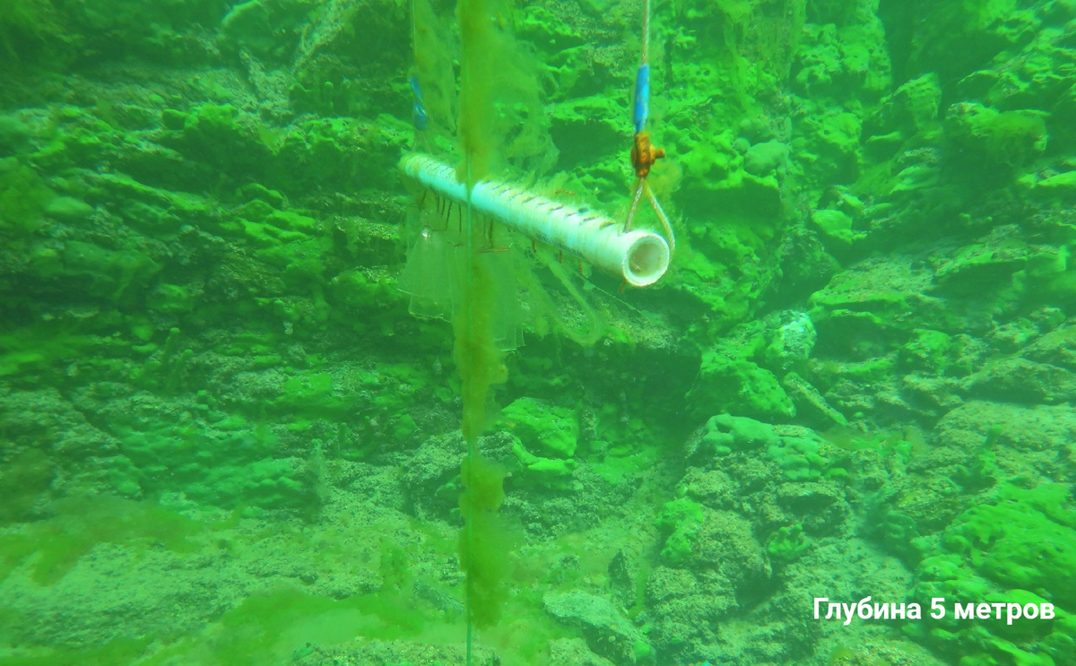 © Фото: vk.com/baikal_museum