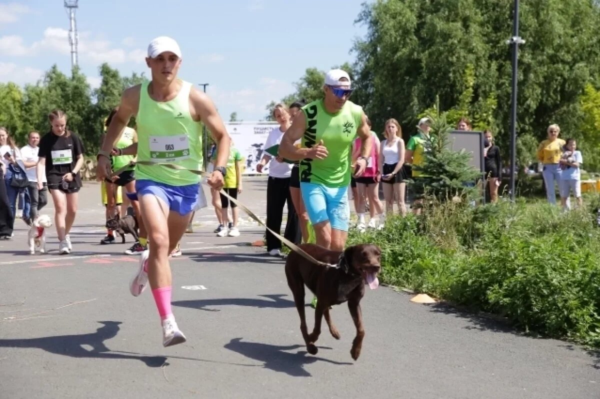    Питомцы и их хозяева провели «Пушистый забег» в Бузулуке