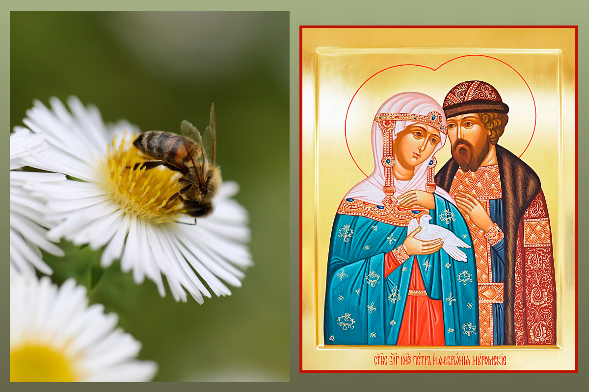 8 июля - День Семьи, Любви и Верности, символ праздника - святые Петр и Феврония Муромские/pixabay.com, azbuka.ru