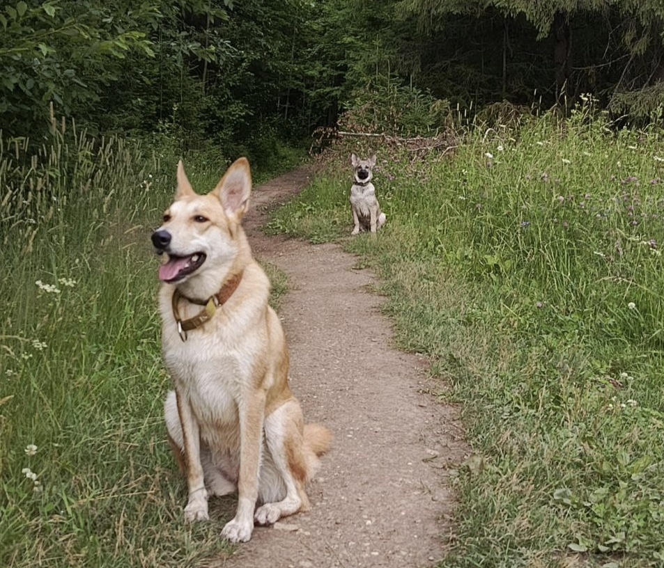 Эрна с первого дня появления малыша в доме взяла над ним шефство.