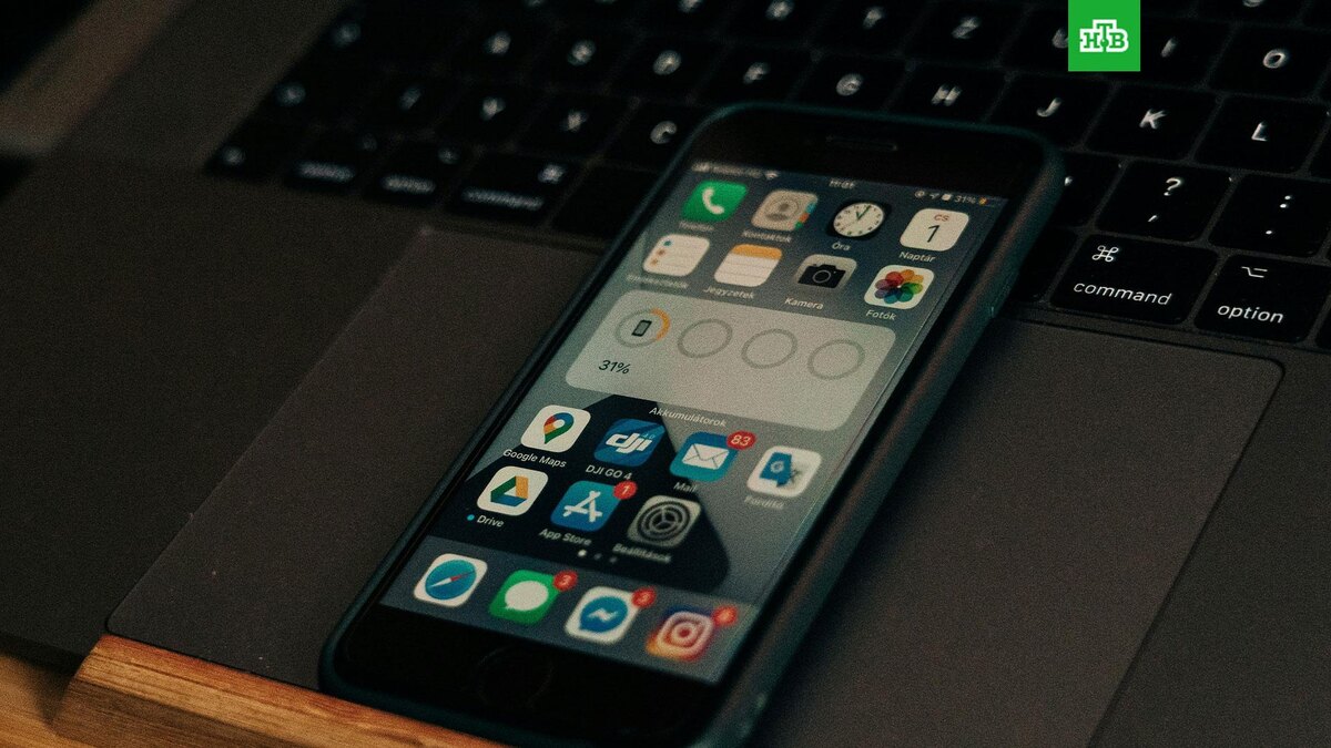    Фото: Szabo Viktor / unsplash.com