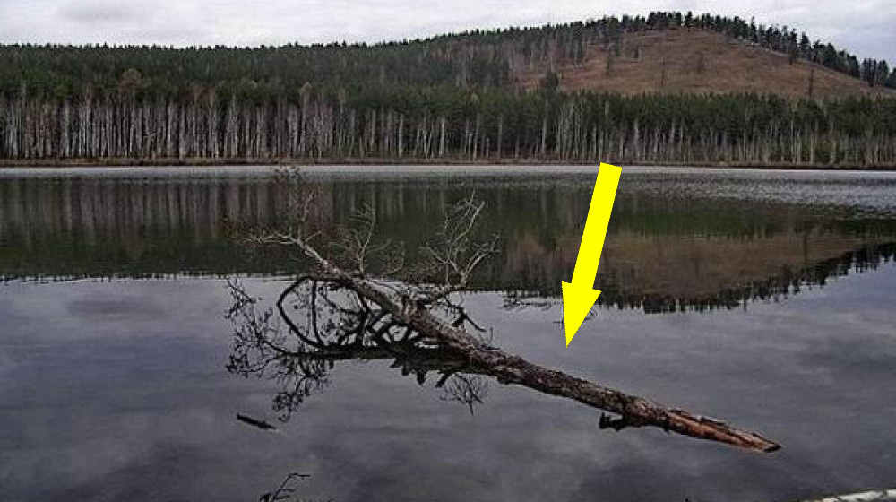    ТАЙНА ВОДОЕМОВ Почему люди исчезают у рек и озер без следа