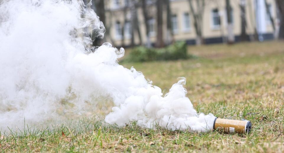    Shatokhina Natalia/news.ru / www.globallookpress.com