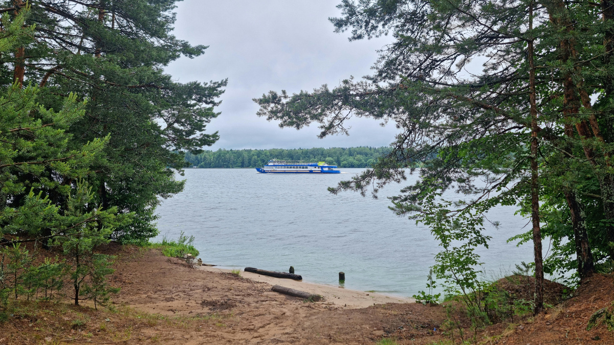 Утро после ночной грозы. Небо над Волгой вот такое – сплошные серые тучи. Солнца не видать, так что о зарядке аккумуляторов можно забыть. 🔋