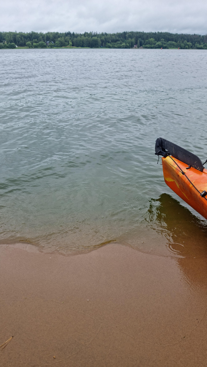 Волга сегодня вот такая, совсем зелёная.