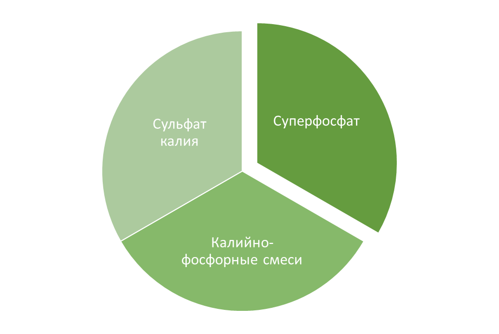 Рекомендуемые удобрения для подкормки красной смородины в июле