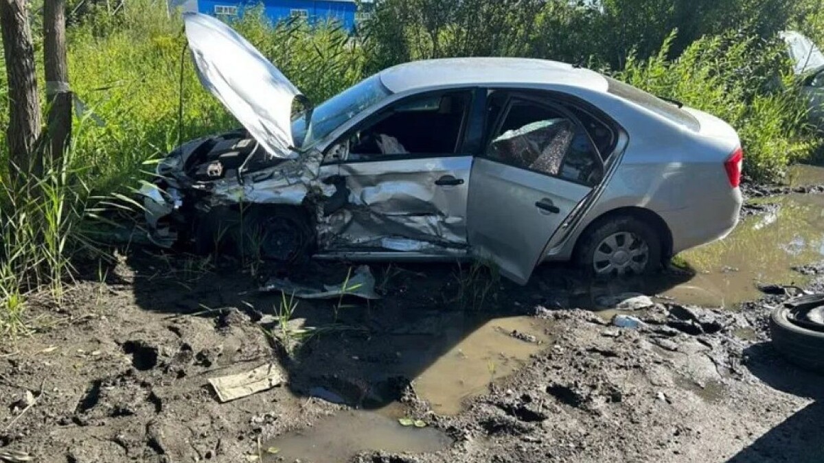    Фото: пресс-служба ГАИ Челябинска