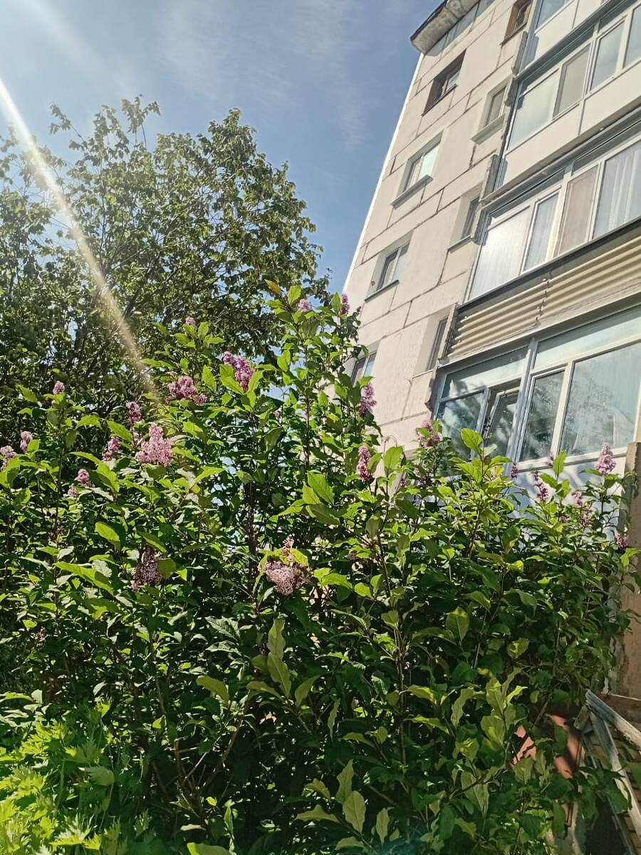 Фото Лидии, моей подруги