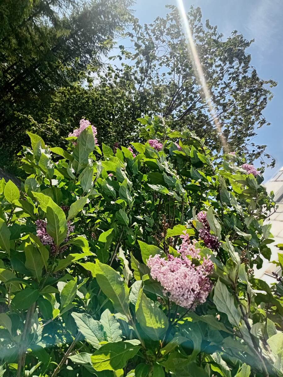 Фото Лидии, моей подруги