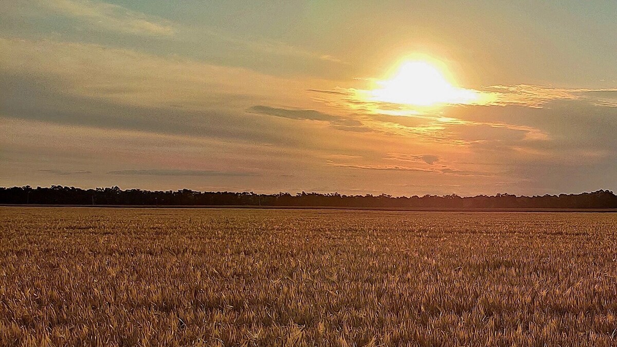     Автор: KubanPress Источник: kubanpress.ru