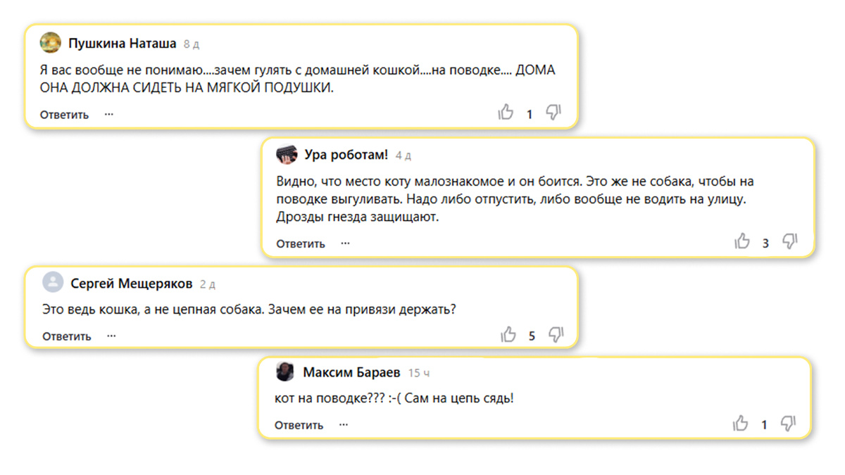 Это самые «адекватные» комментарии, бывают совсем шедевральные сочинения