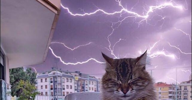 Картинки Яндекс