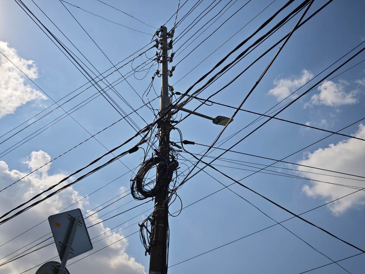 фото: «Россети Кубань»  📷
