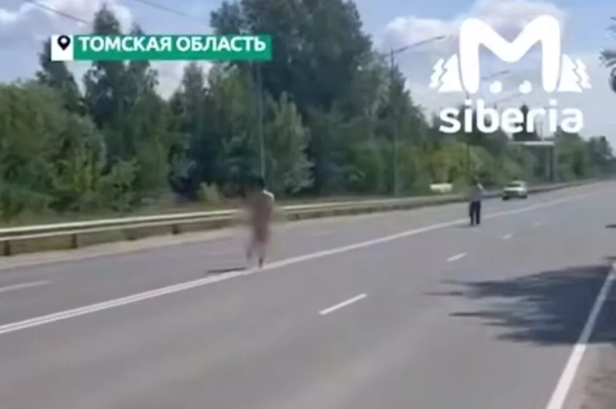    Томские полицейские задержали голого водителя