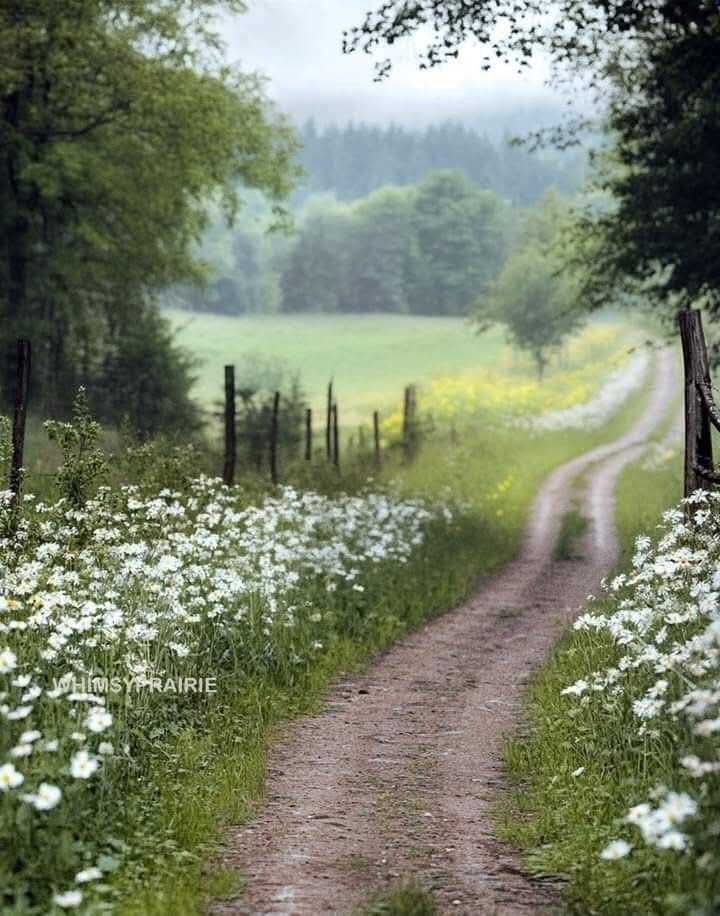 Источник фото: https://i.pinimg.com/736x/9b/ad/ad/9badad7acbd0efdc2cfef3d4de8c2105.jpg