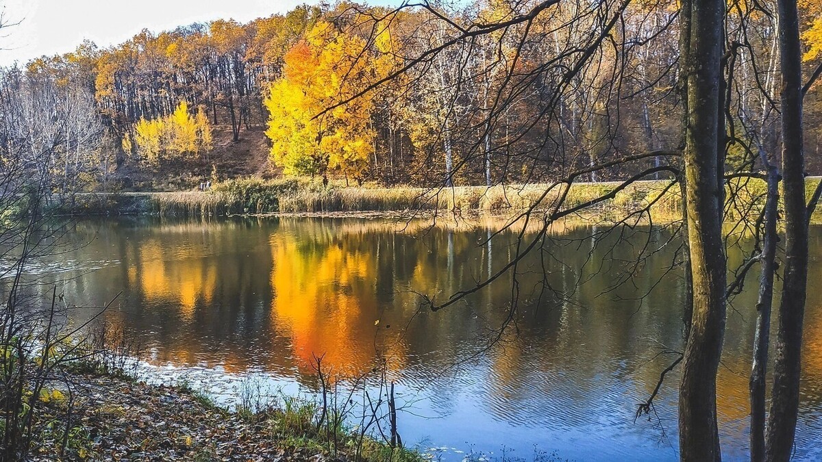     Источник: bel.ru