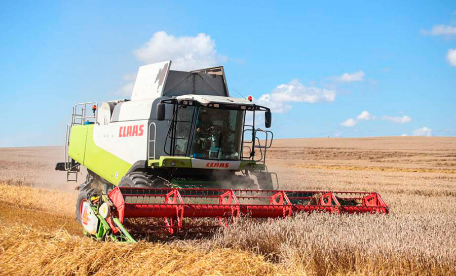     В Беларуси намолотили более 96 тыс. тонн озимого ячменя