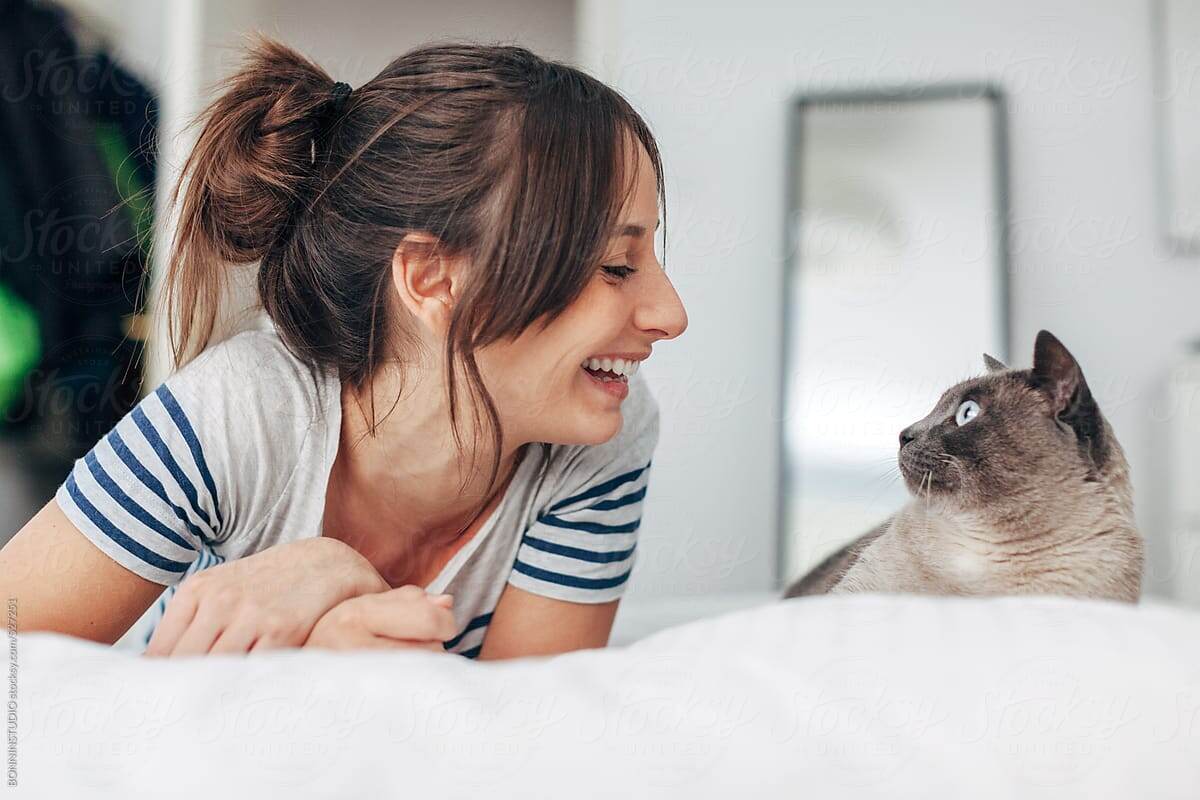 Картинки Яндекс