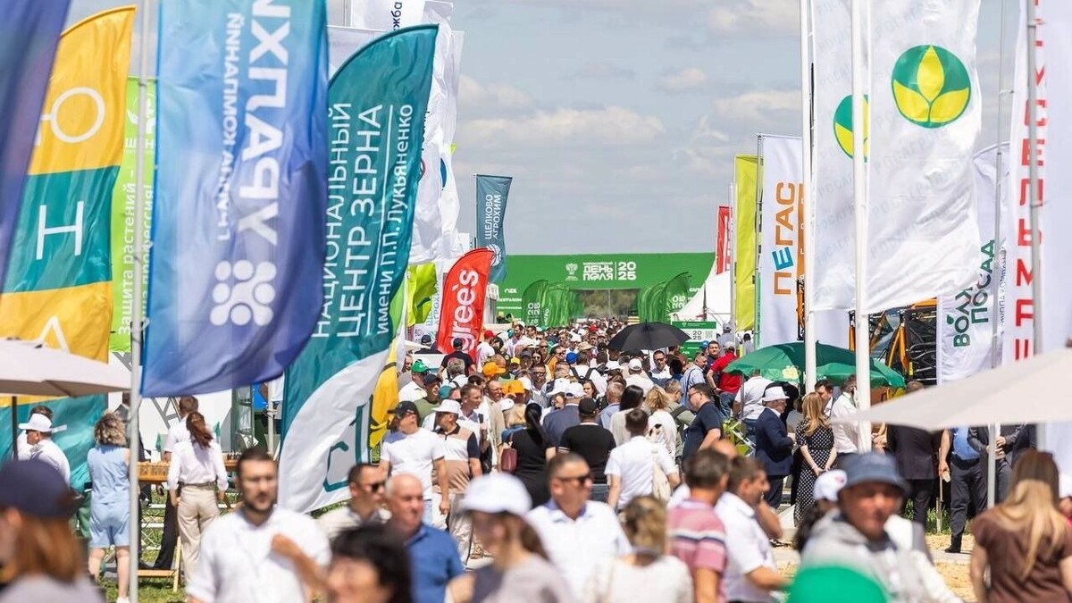     Источник: Администрация Волгоградской области