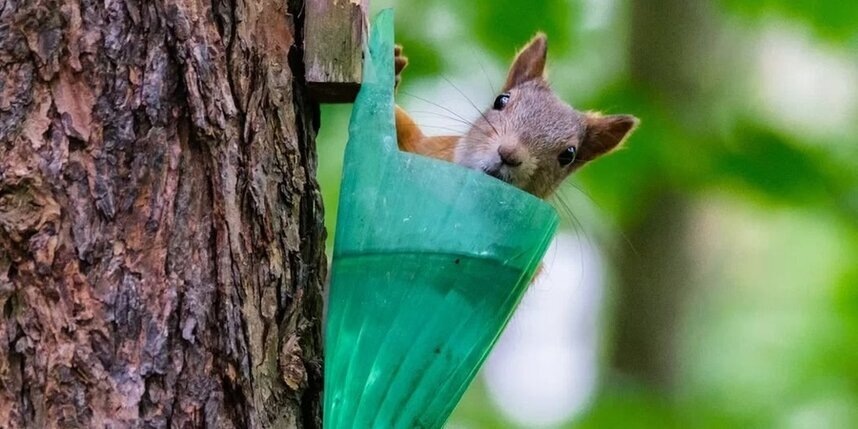    Алёна Бобрович