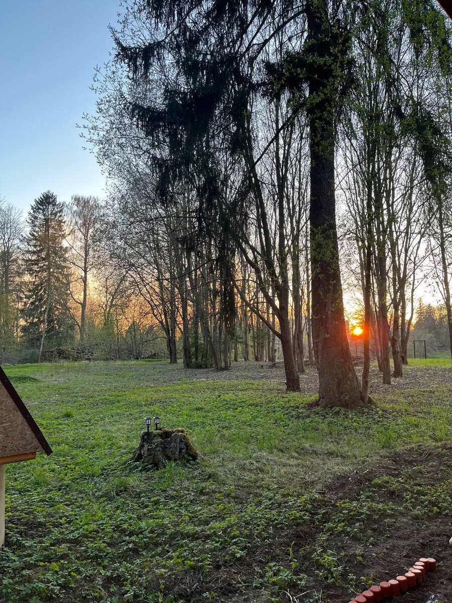 Фото: архив «МК в Калининграде»