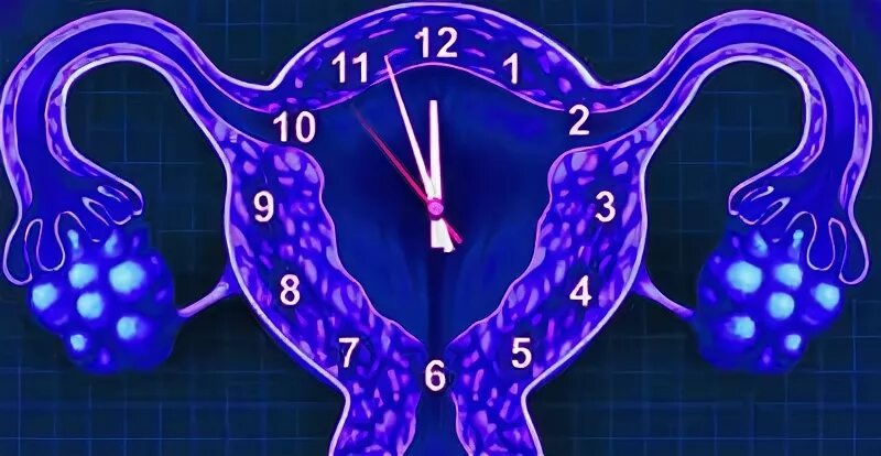 часики тикают, яйцеклетки теряются быстро. Известный сток фото