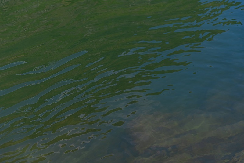    Фото: Mateus Andre/Freepik