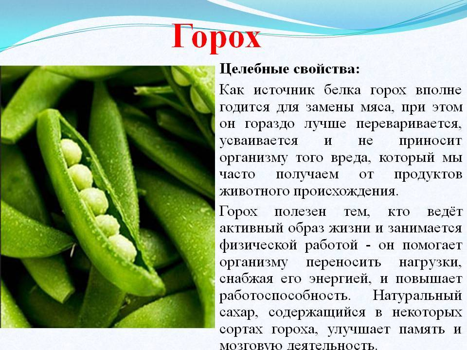 Хочется верить, что он и правда такой полезный, картинка из интернета.