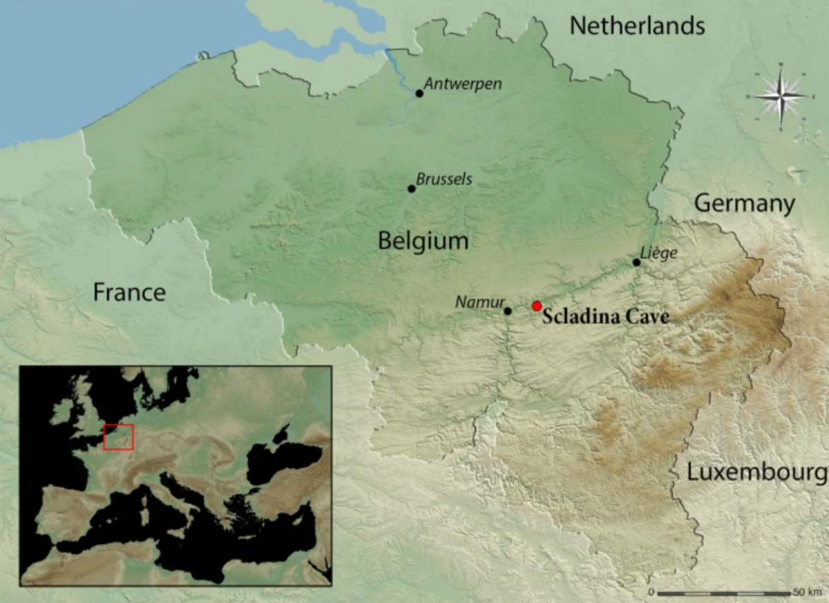   Grégory Abrams et al. / Scientific Reports, 2025